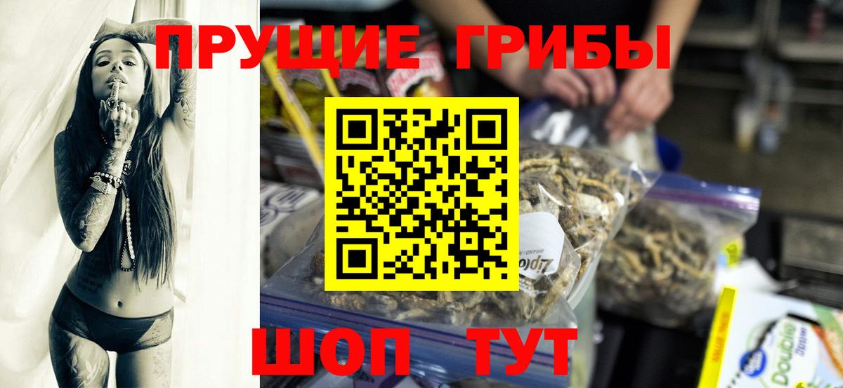 наркота  Вход с VPN  Осинники  Псилоцибиновые грибы Cubensis 