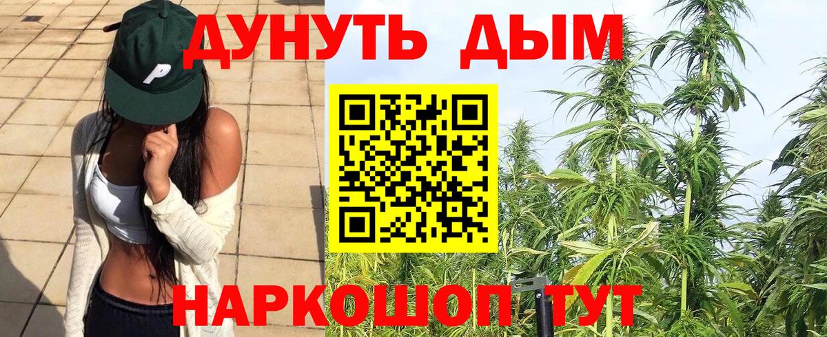 Конопля марихуана Осинники