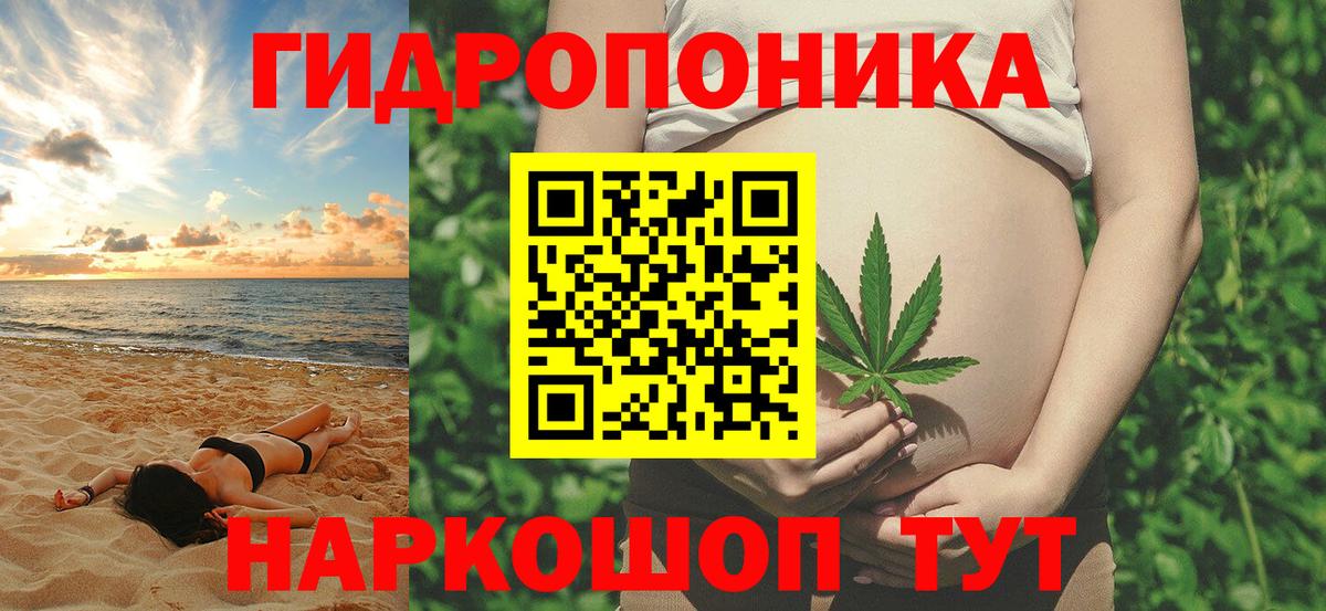 Конопля индика  Вход с VPN  Бошки марихуана White Widow  Осинники  Шишки марихуана план 
